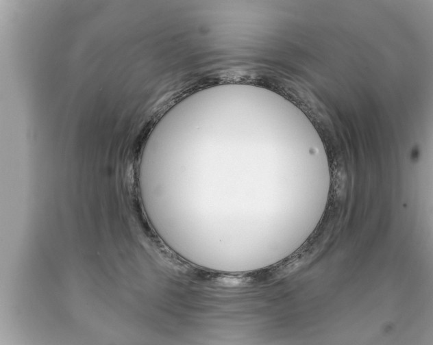 X0000094170375200710260914