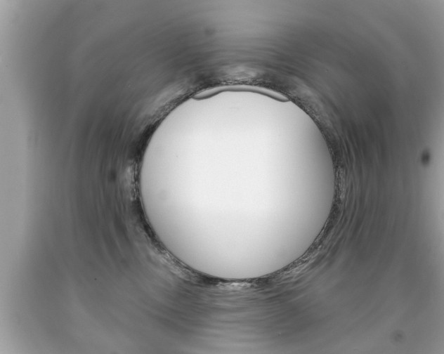 X0000094170378200710260914