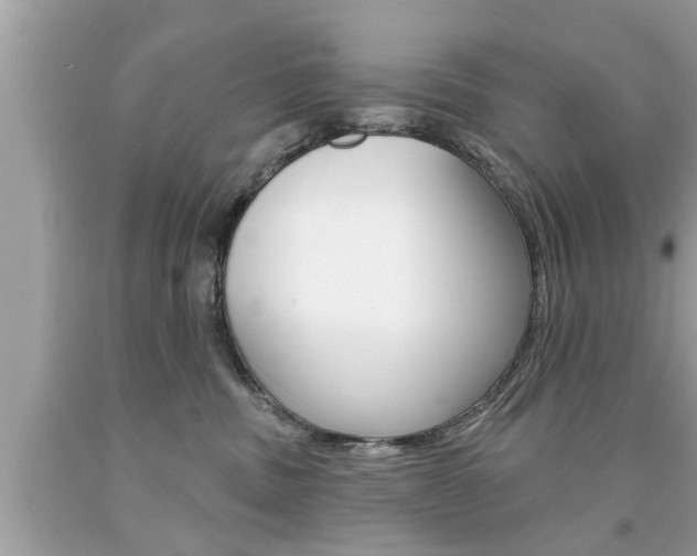 X0000094170379200710260914