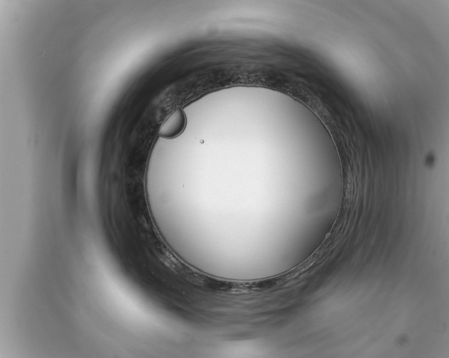 X0000094170383200710260914