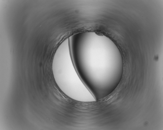 X0000094170384200710260914