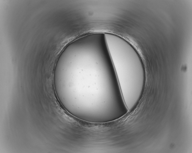 X0000094170385200710260914