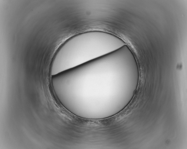 X0000094170386200710260914