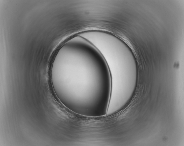 X0000094170387200710260914