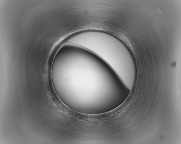X0000094170388200710260914