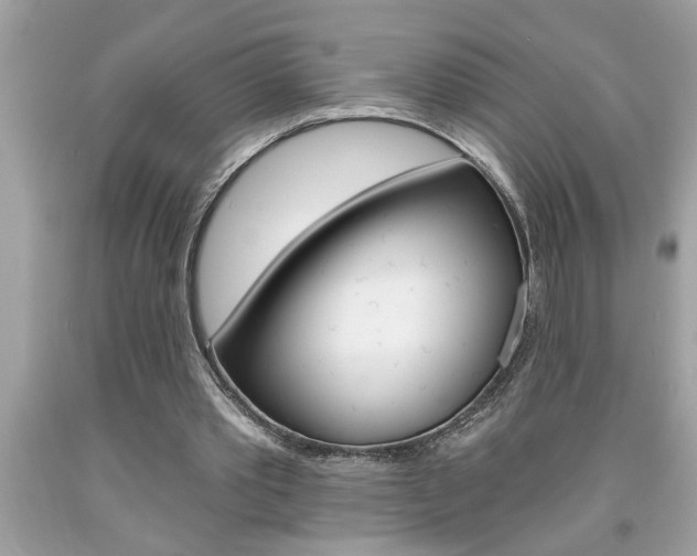 X0000094170389200710260914