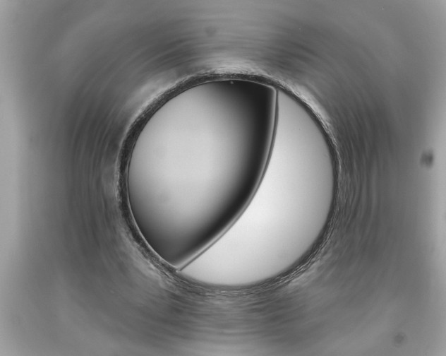 X0000094170391200710260913