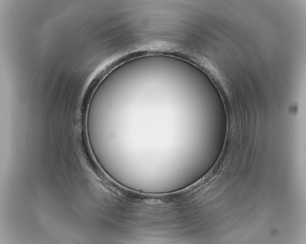 X0000094170392200710260913