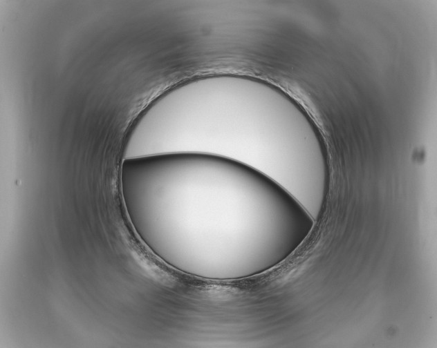 X0000094170393200710260913