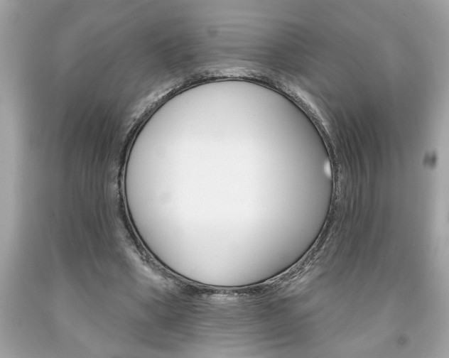 X0000094170394200710260913