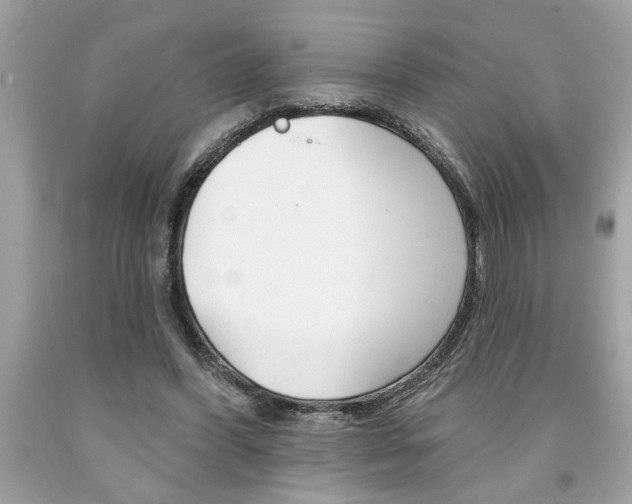 X0000094170396200710260913