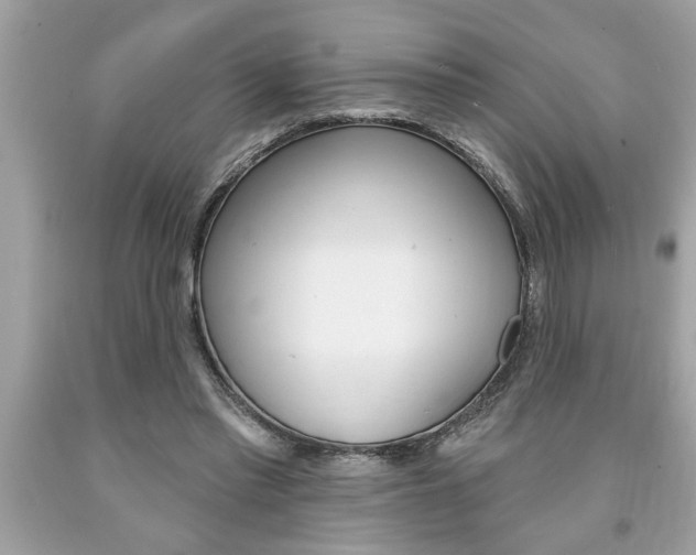 X0000094170397200710260913