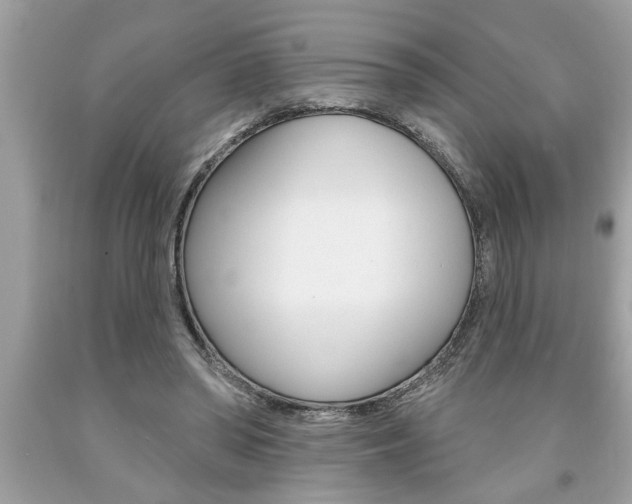 X0000094170398200710260913