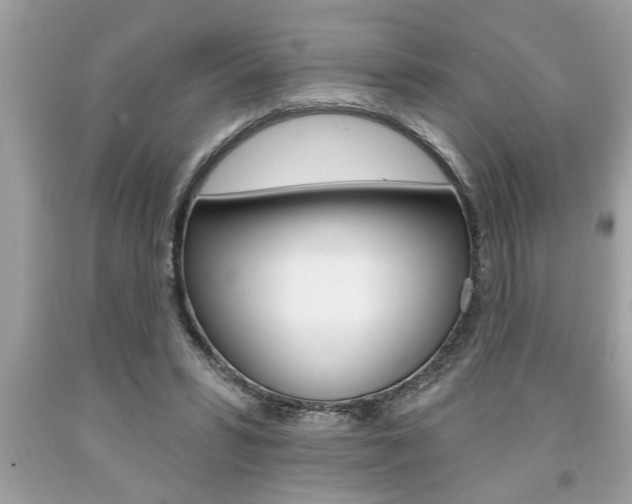 X0000094170399200710260913