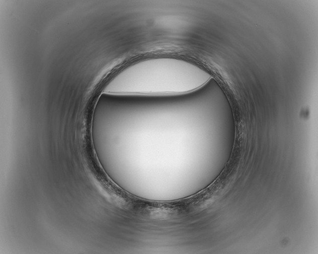 X0000094170400200710260913