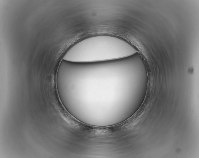 X0000094170401200710260913