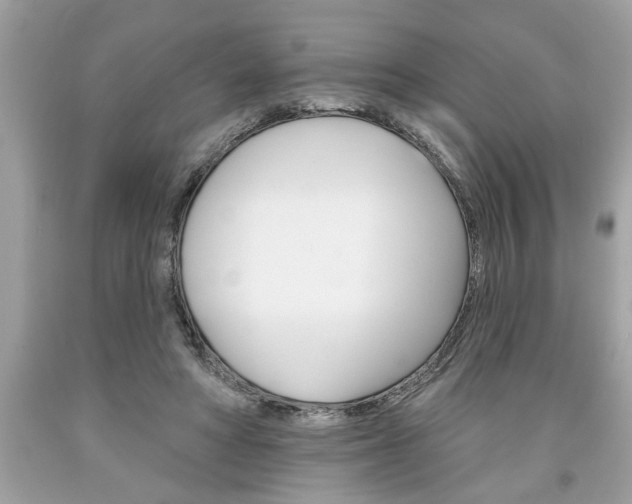 X0000094170402200710260913