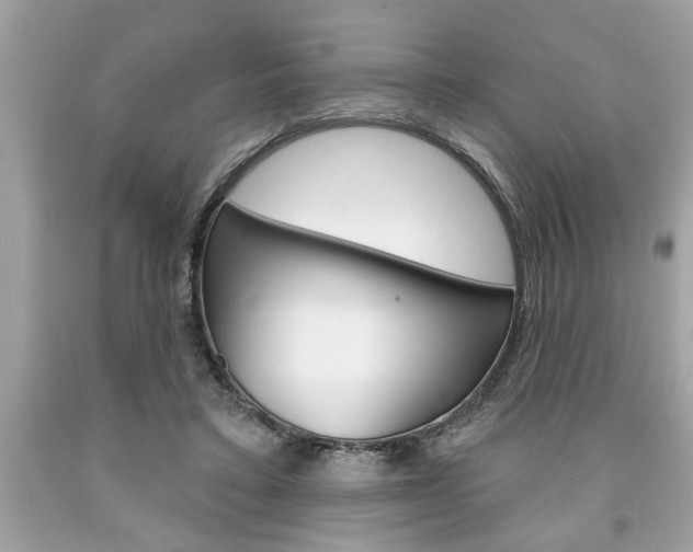 X0000094170403200710260913
