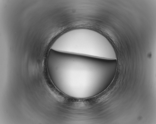 X0000094170404200710260913