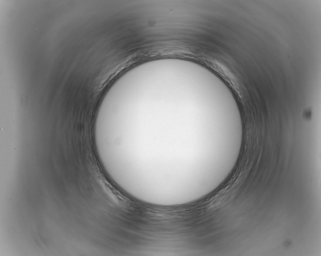 X0000094170405200710260913