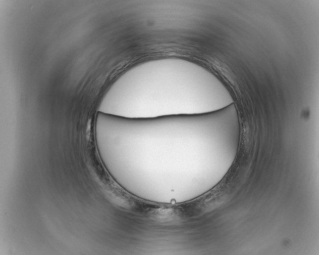 X0000094170406200710260913