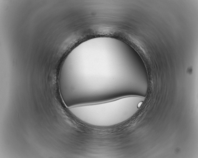 X0000094170407200710260913