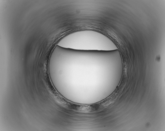 X0000094170410200710260913