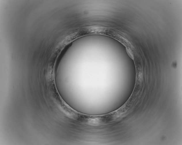 X0000094170411200710260913