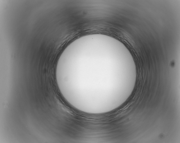 X0000094170412200710260913