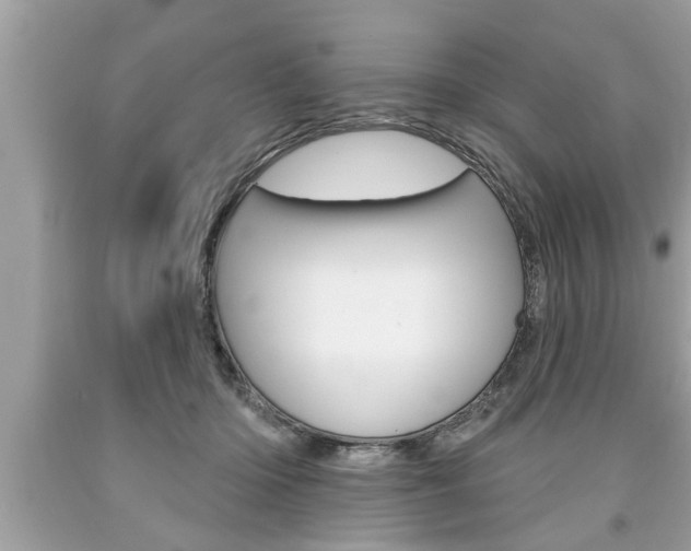 X0000094170414200710260913