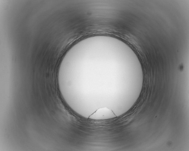 X0000094170415200710260913