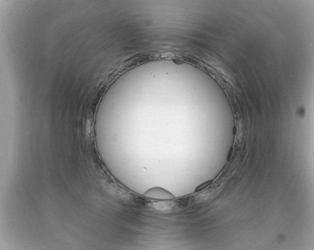 X0000094170417200710260913