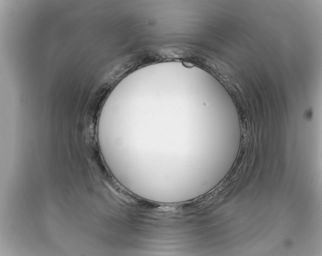 X0000094170418200710260913
