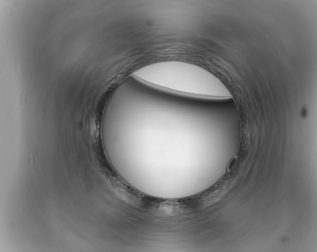 X0000094170420200710260913