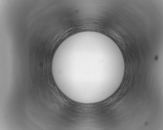 X0000094170421200710260913