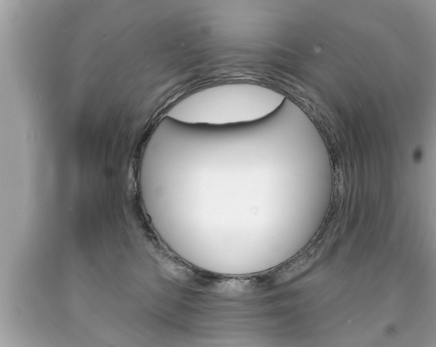 X0000094170422200710260913