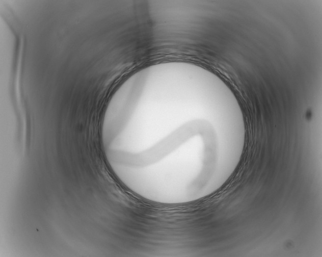 X0000094170423200710260913