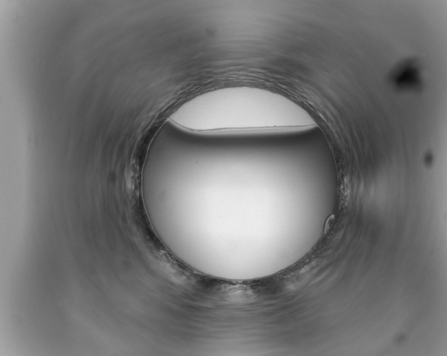 X0000094170424200710260913