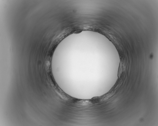 X0000094170427200710260913