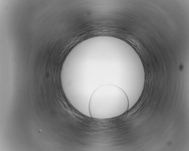 X0000094170429200710260913