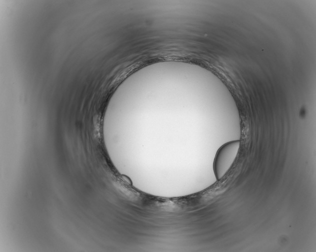 X0000094170430200710260913