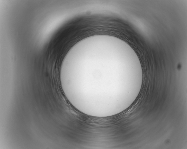 X0000094170431200710260913