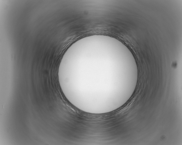 X0000094170432200710260913
