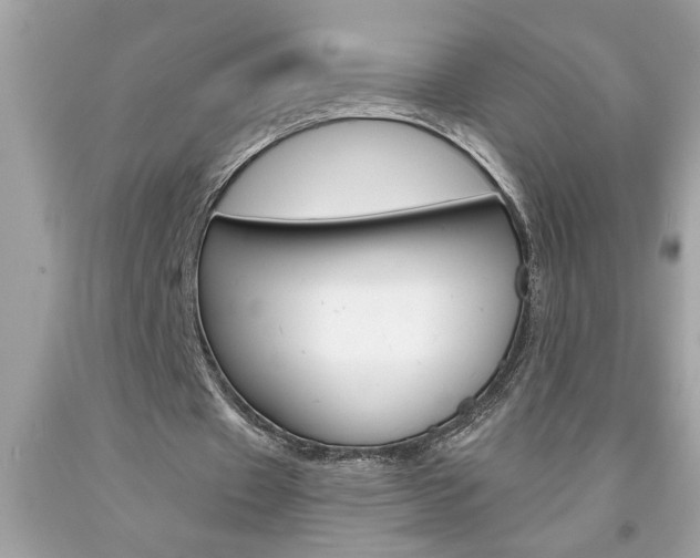 X0000094170433200710260912