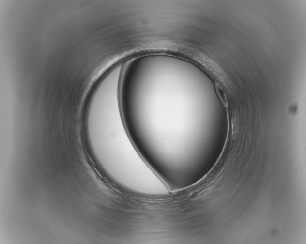 X0000094170436200710260912