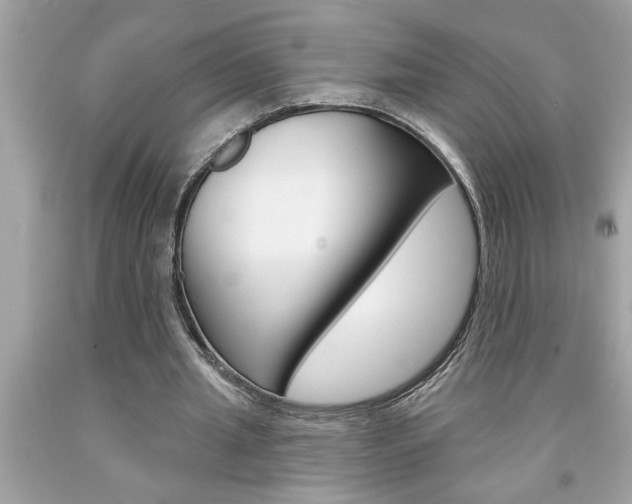 X0000094170437200710260912