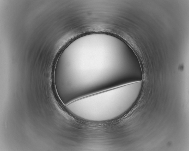 X0000094170438200710260912