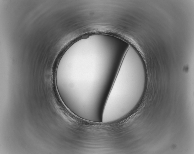 X0000094170439200710260912