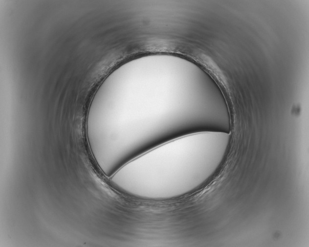 X0000094170441200710260912