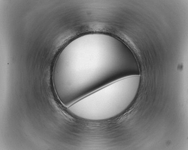 X0000094170442200710260912